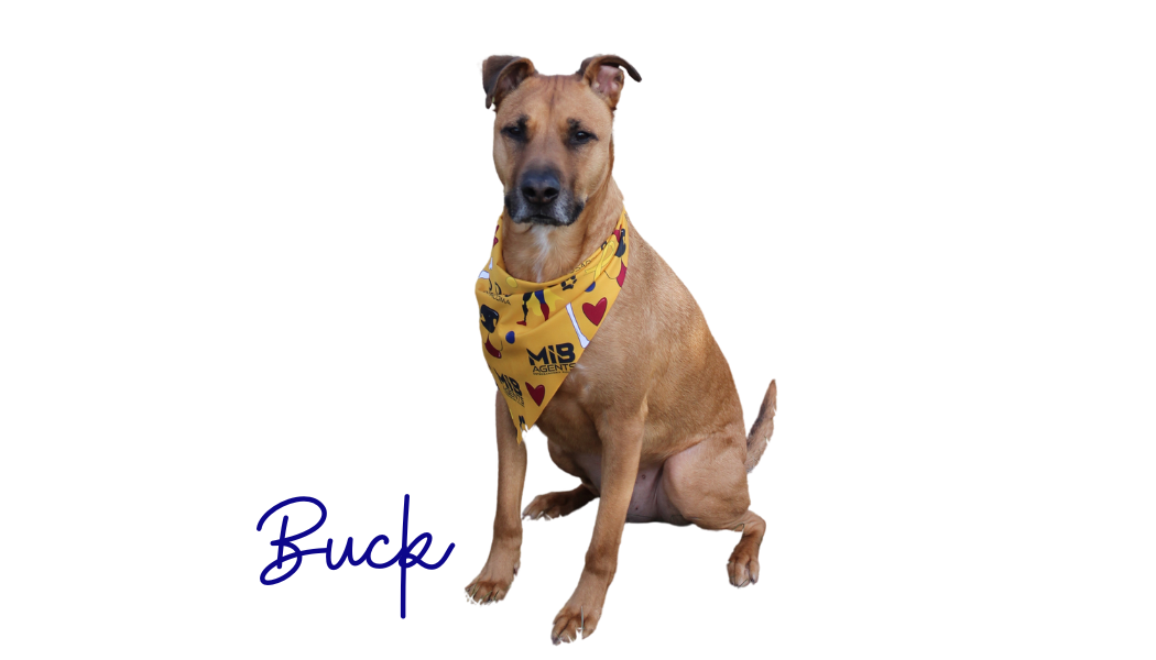 OutBarking Bandana