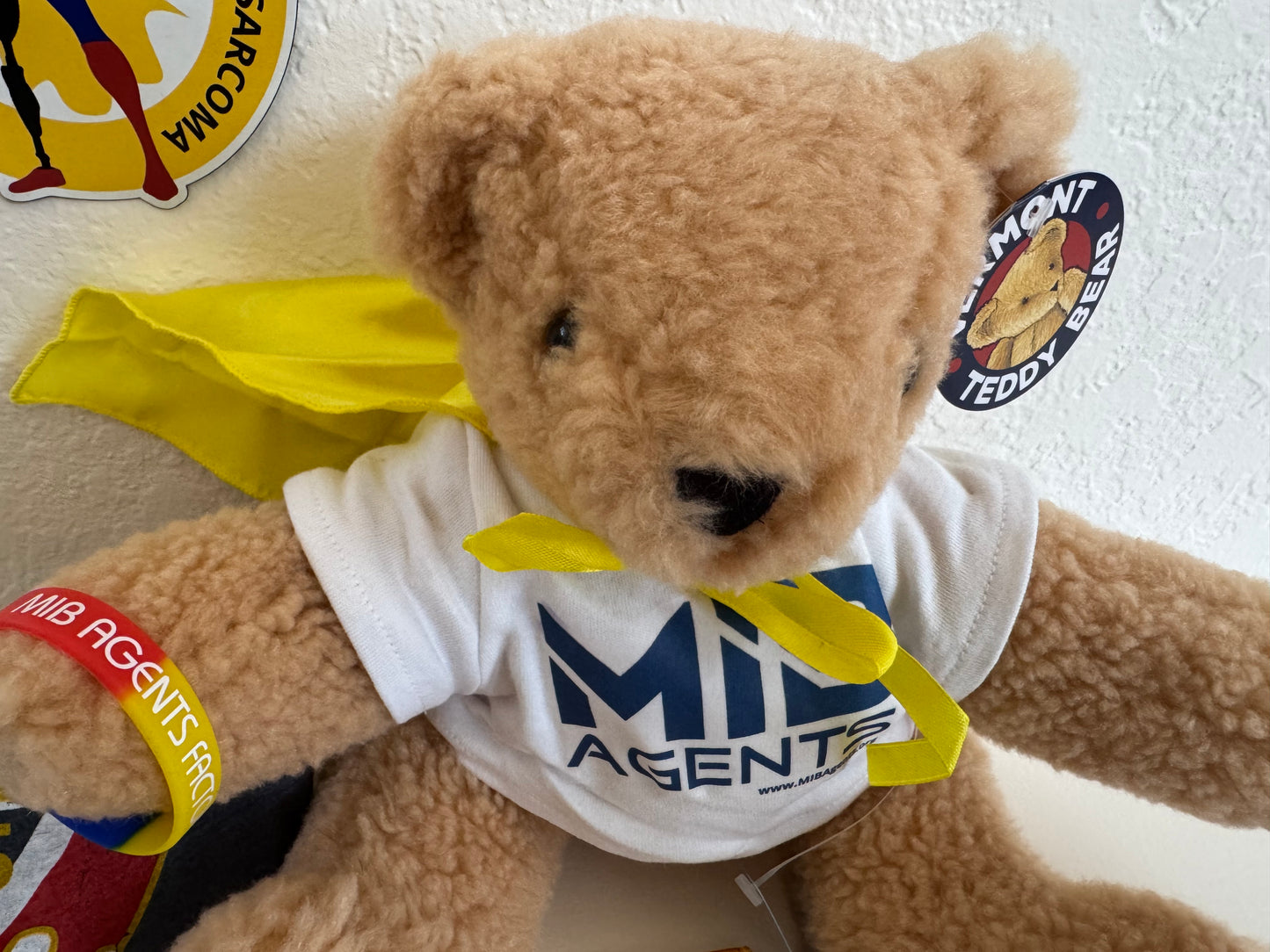 MIB Vermont Teddy Bear with Cape